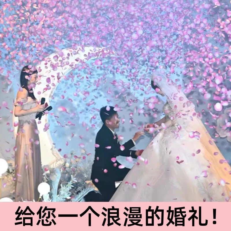 花瓣雨喷花筒结婚礼炮婚礼手持礼筒炮礼花筒彩带撒花婚庆用品大全