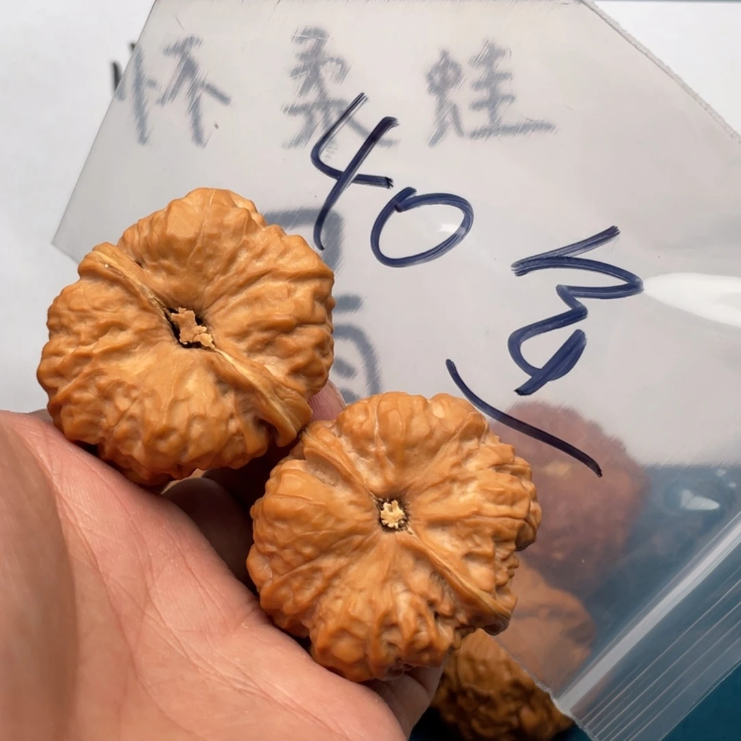 橄榄核手串/手链W7;9486846648386638