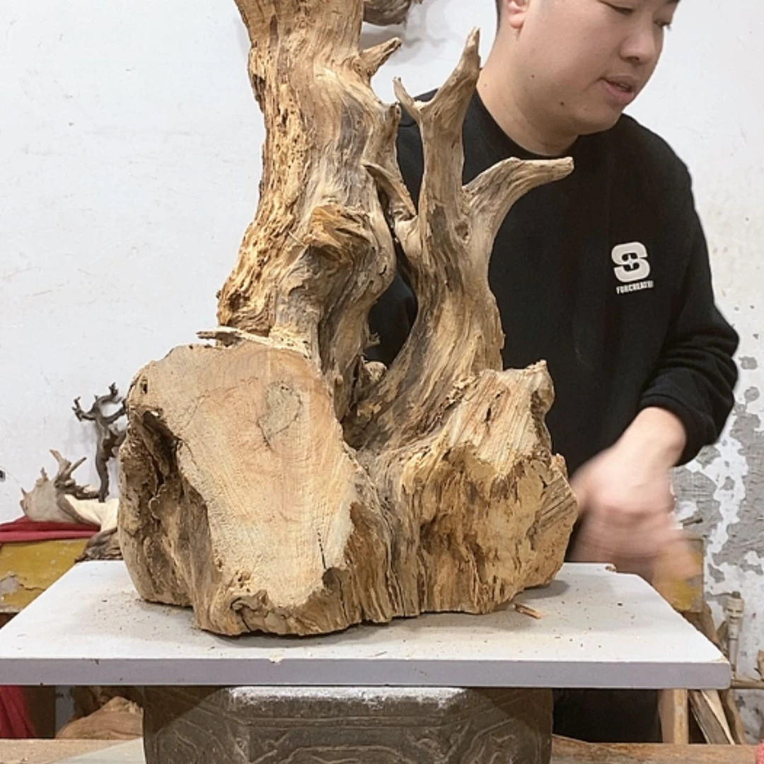 【闪购商品】柏木龙****艺我们都是好孩子