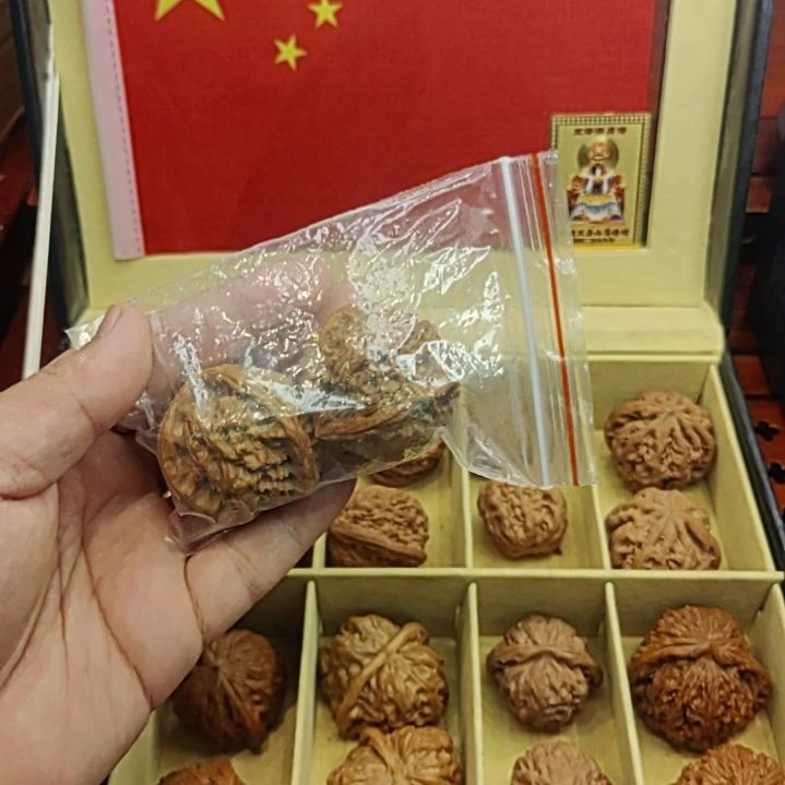 *****5588888888888888888988