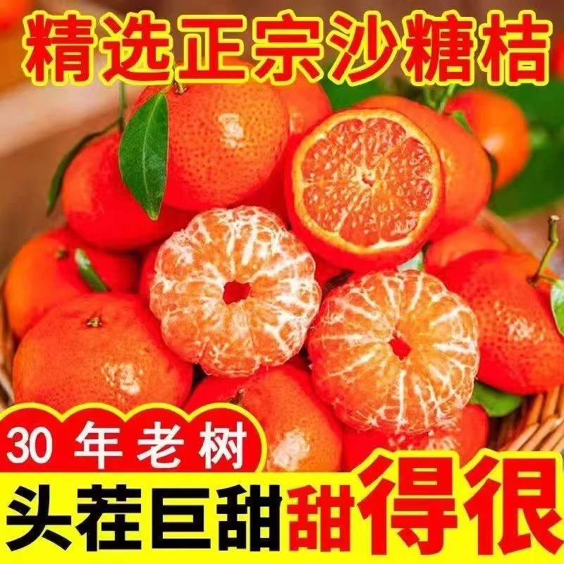 【正宗沙糖桔】广西沙糖桔应季水果超甜多汁带箱5斤