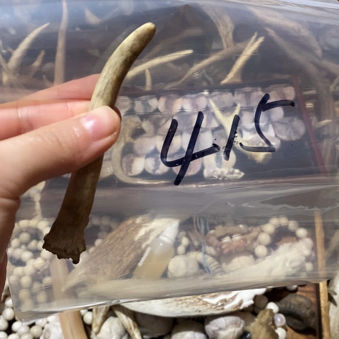 *****非金属鹿角鹿角鹿角