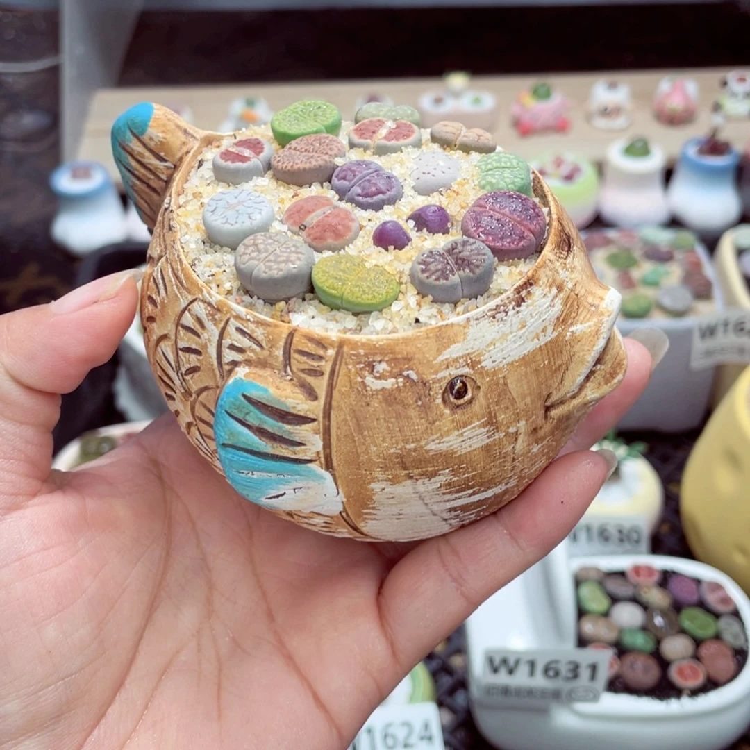 w1635 零下地区拍保温箱