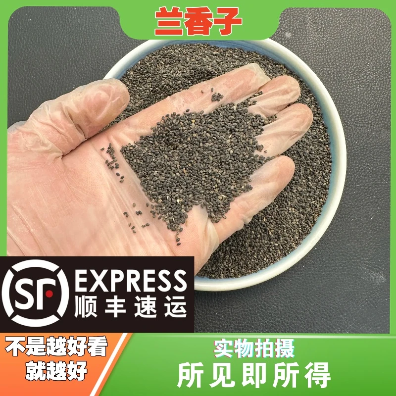 兰香子成都中药材批发别名：明列子，光明子，罗列籽