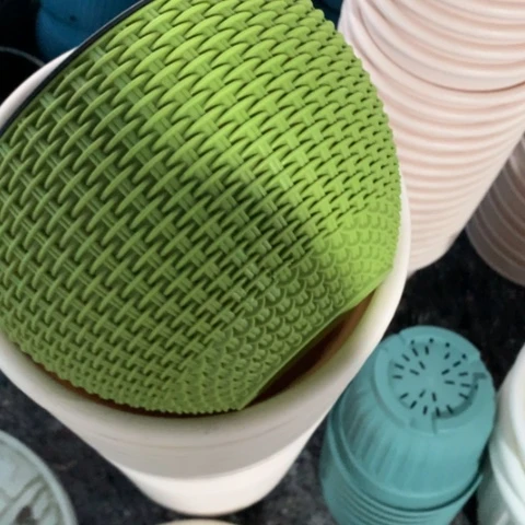 树脂5个21口绿吊兰