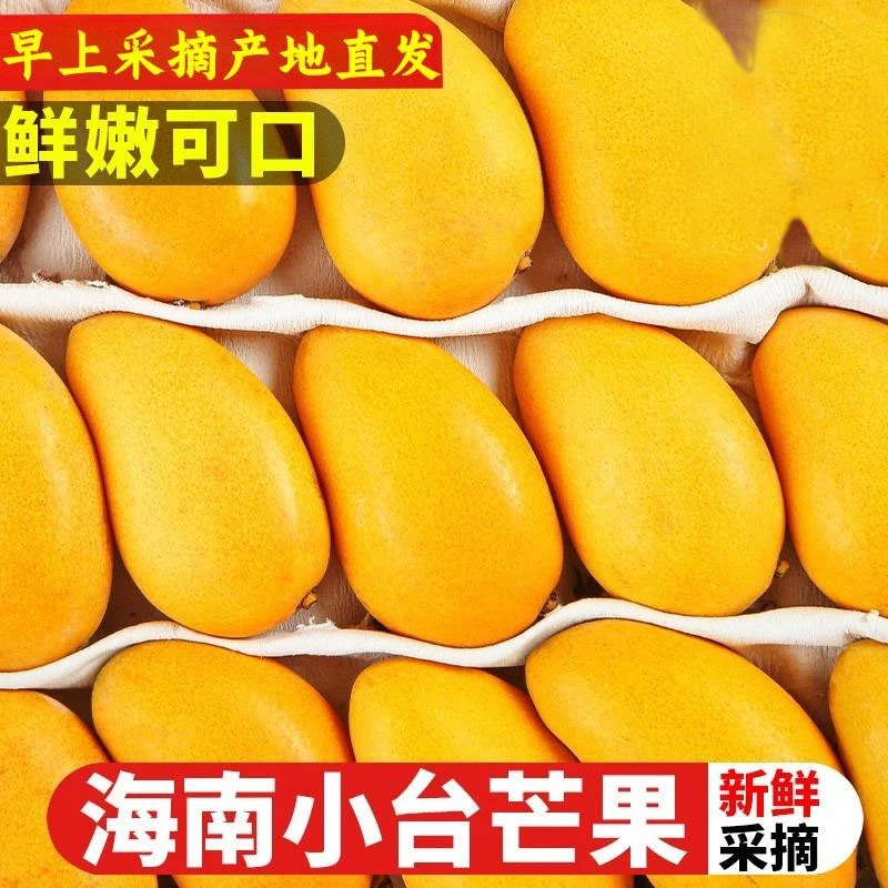 海南小台农芒果3-9斤新鲜现摘小台芒应当季热带水果特产芒果包邮