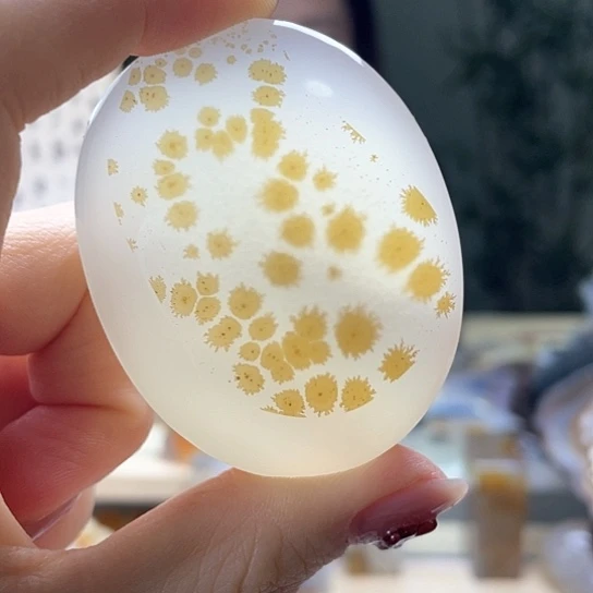 玛瑙/玉髓颈饰未镶嵌农**歌