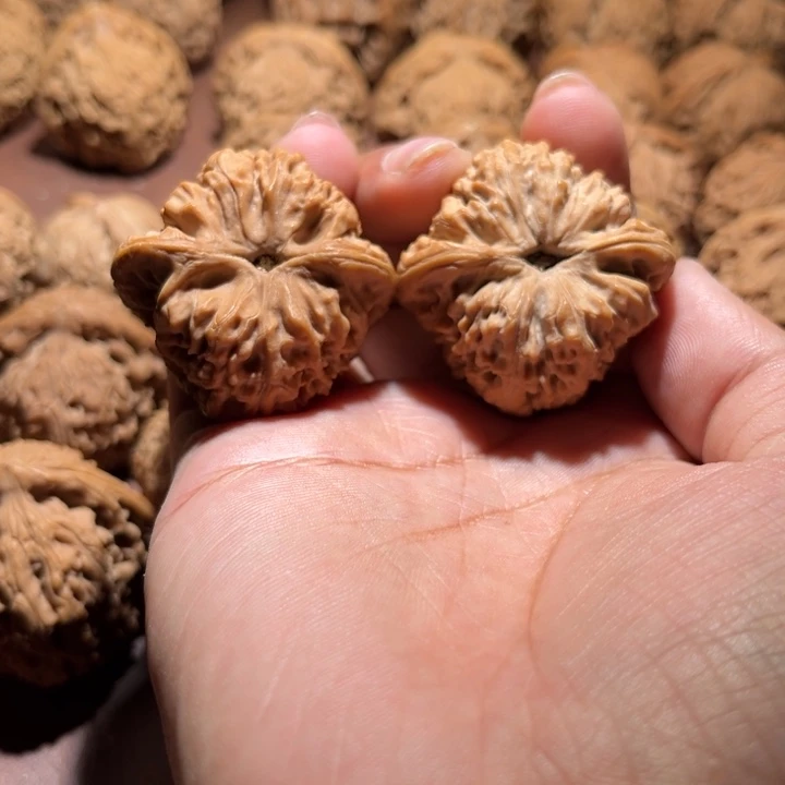 核桃手串/手链财*?南疆39尺寸