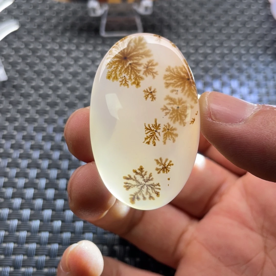 未镶嵌颈饰玛瑙/玉髓狼*