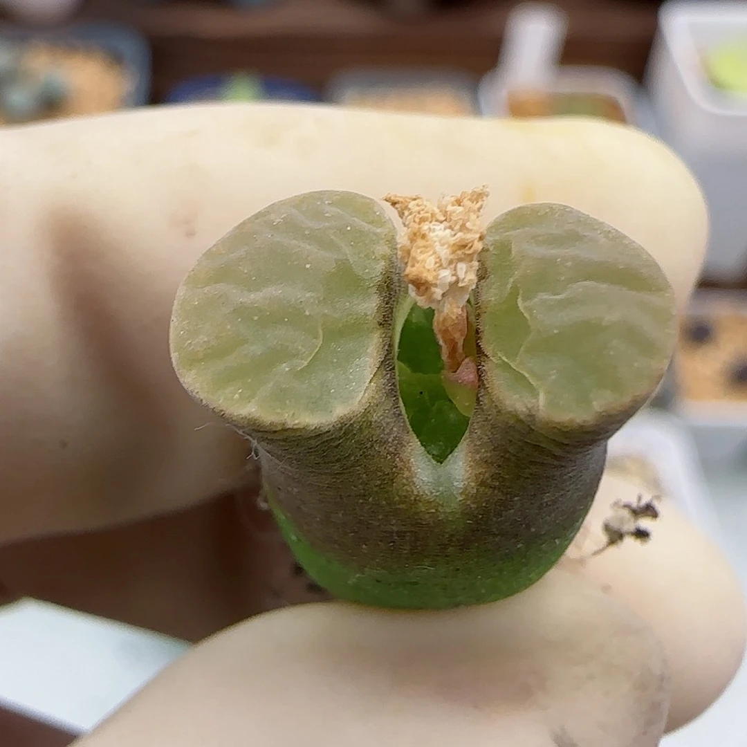 647磁铁优选福利