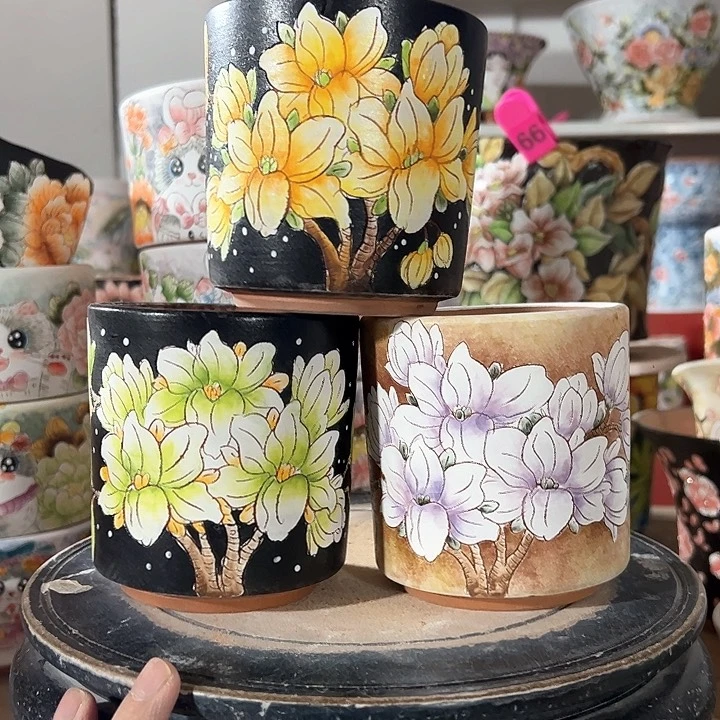 满38包邮哦 不满足不发哈苏*影