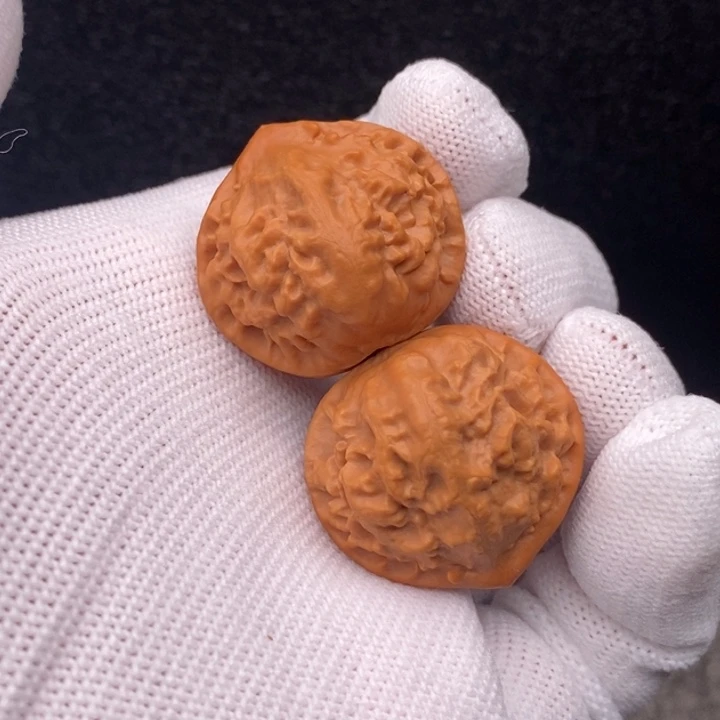 文玩核桃把件珊瑚龙脊