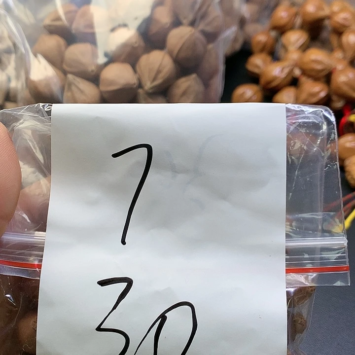 吊坠橄榄核7苏州的小伙伴