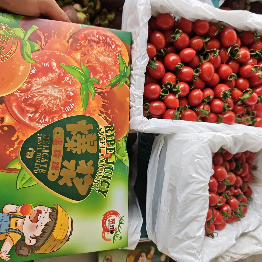 釜山88小番茄，2斤装新鲜海南省