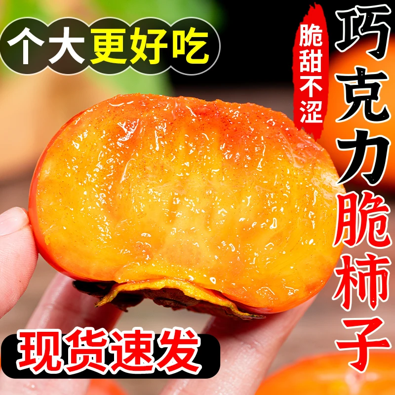 【果园直发】山西阳丰甜脆柿子中秋水果招待现摘新鲜孕妇水果甜柿子
