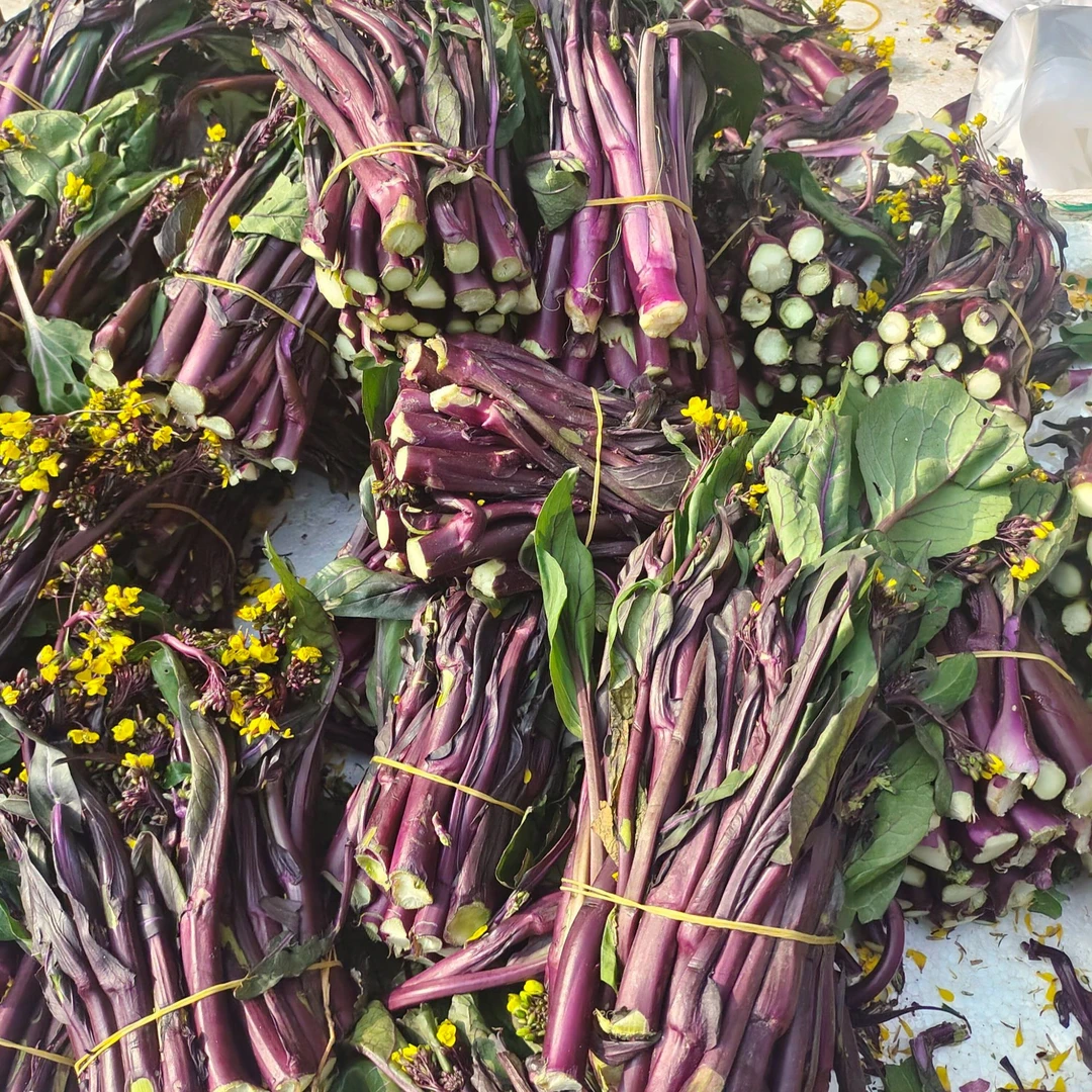 农家自种露天 新鲜菜苔 脆嫩时令蔬菜特产