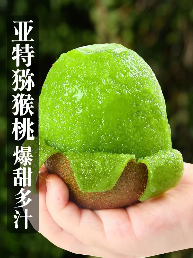 A1【放软食用】正宗陕西亚特猕猴桃1215/18/20/24/30粒装猛猛农场