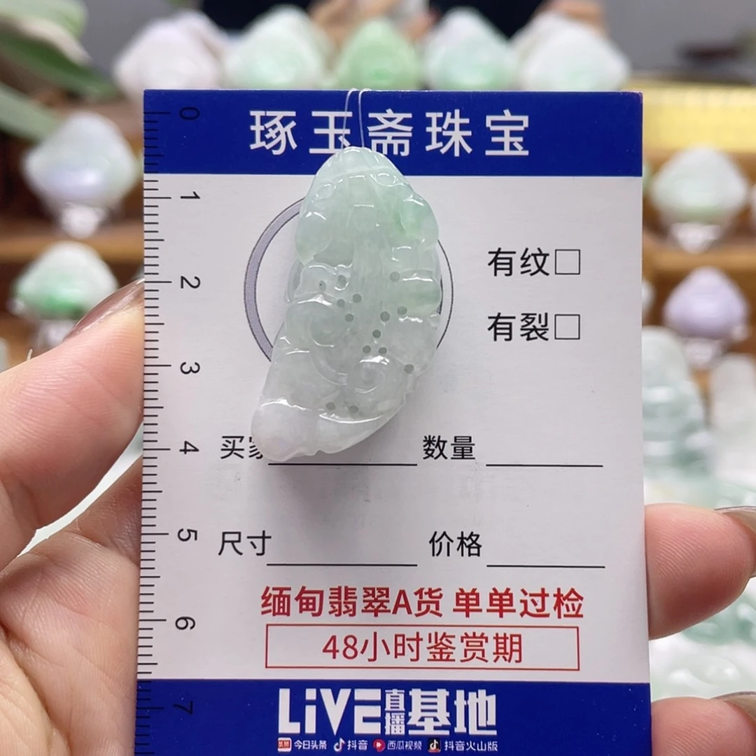 颈饰未镶嵌翡翠貔貅
