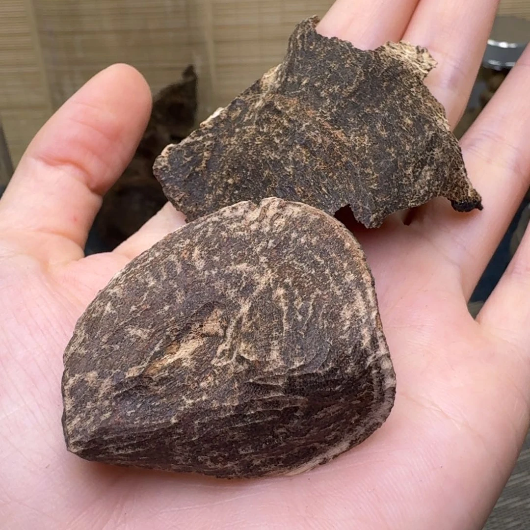 香榧木妖*儿海南大山9分沉包头3.9克