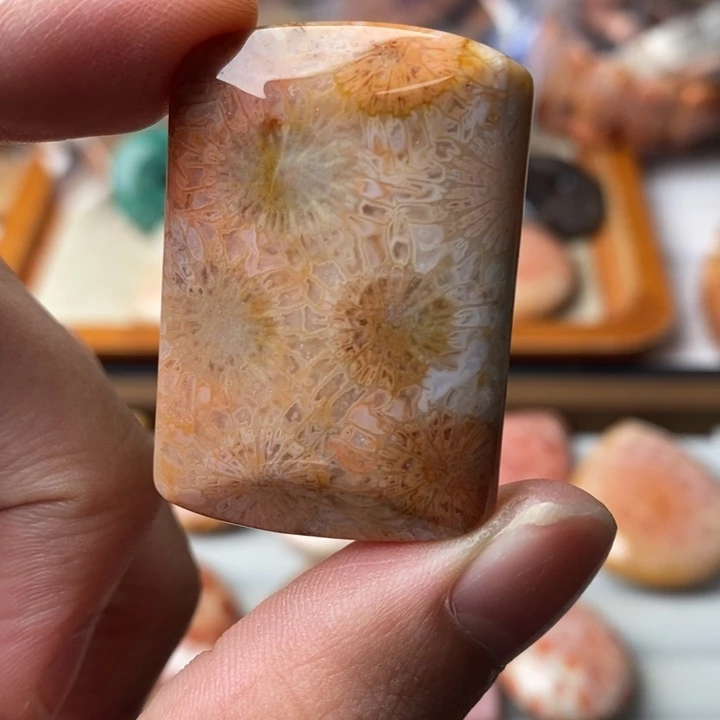 兜***米硅化玉未镶嵌珊瑚玉