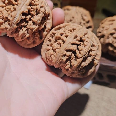 吊坠文玩核桃50粗筋