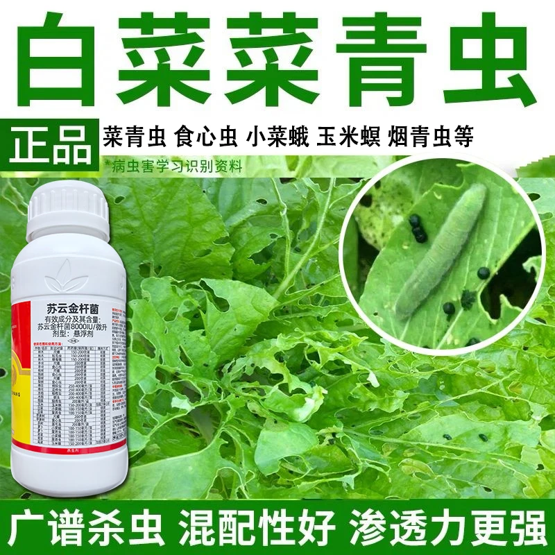 蔬菜杀虫剂白菜菜青虫小菜蛾水稻玉米螟虫食心虫苏云金杆菌杀虫剂