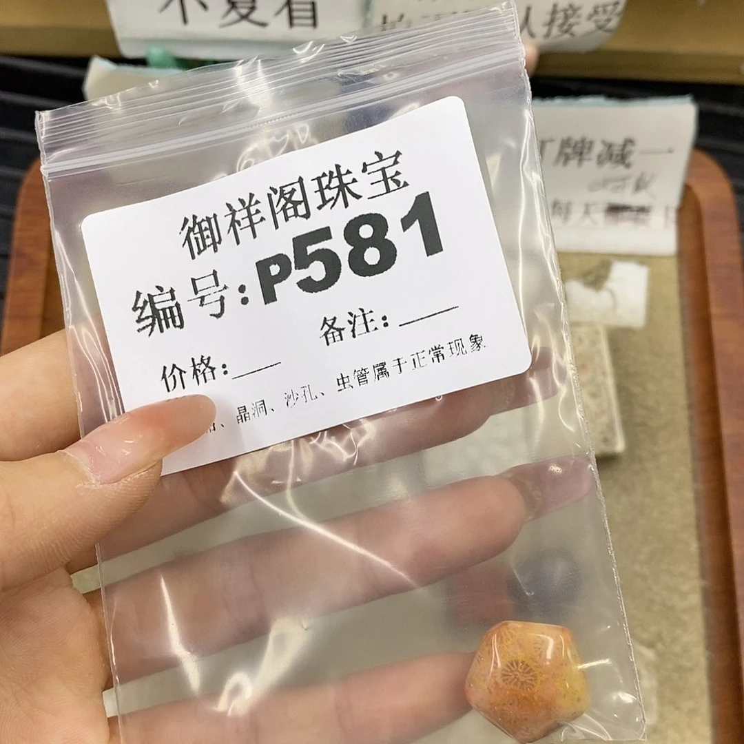 硅化珊瑚（珊瑚玉）未镶嵌颈饰小****.