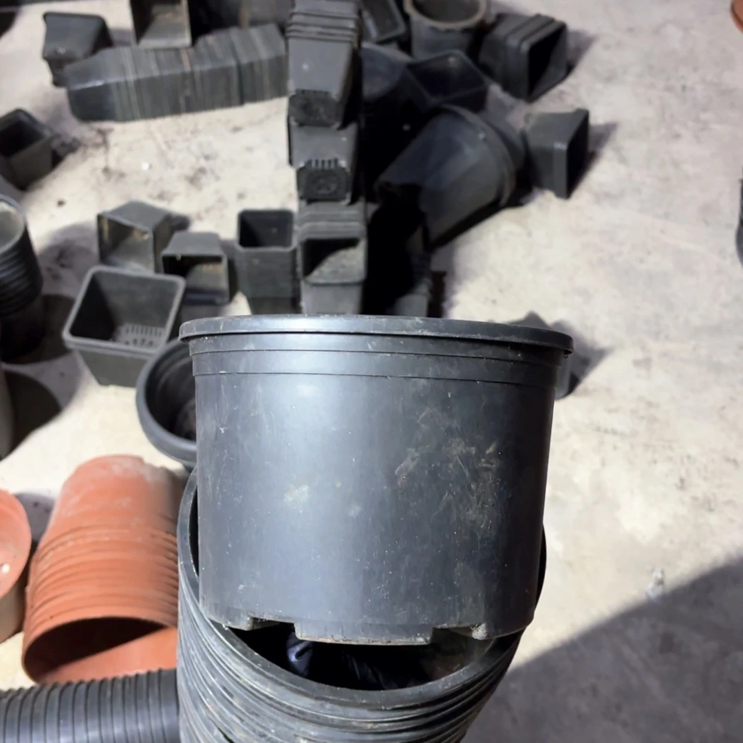 塑料黑加仑200口径11个