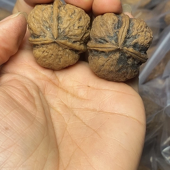文玩核桃把件云南铁核桃63