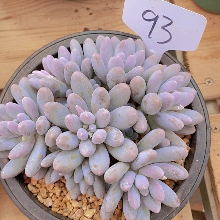 这个我就知道这点