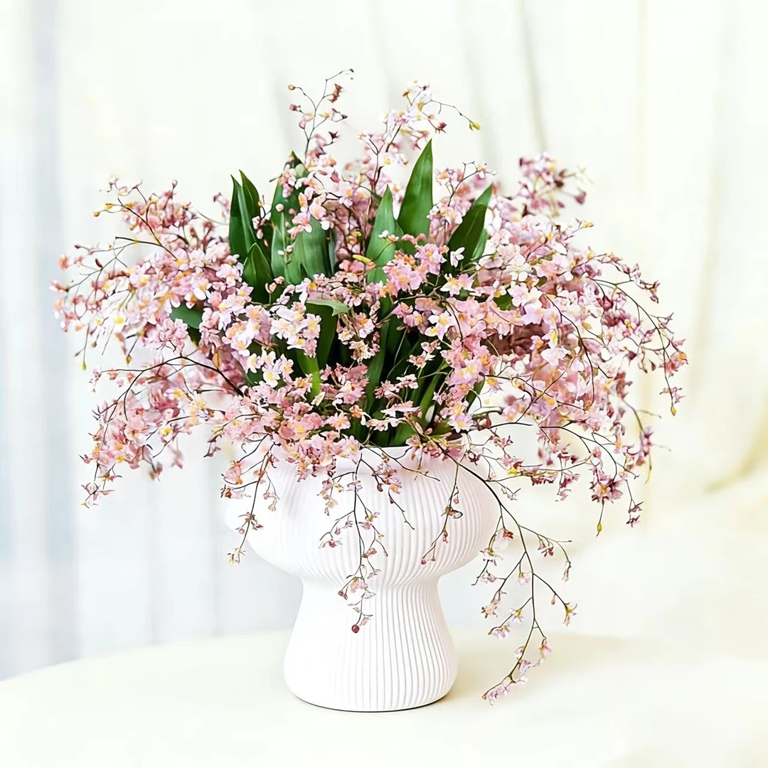 ［京东上门］7-10支花剑带蘑菇盆梦香兰浓香型文心兰室内绿植盆栽