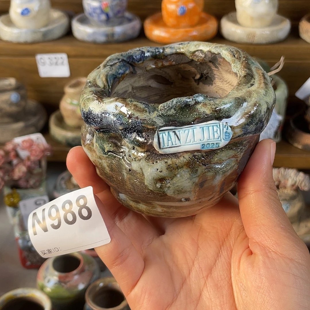 坛子姐花盆  小白孤品 内口6百搭