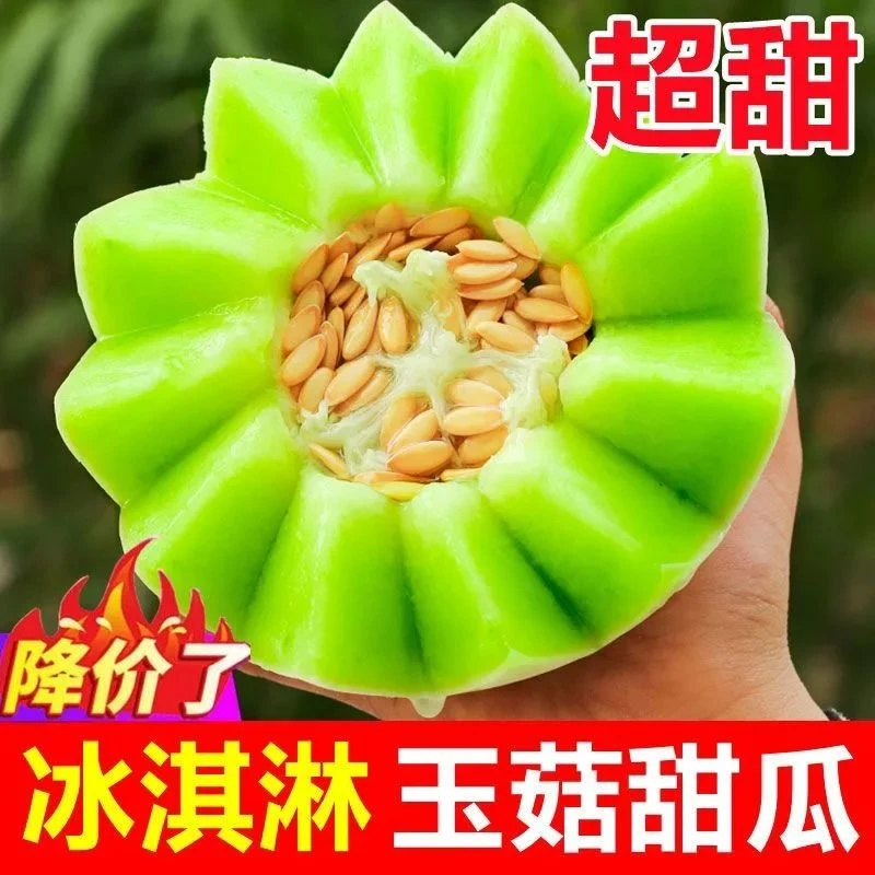 玉菇甜瓜2500g左右（三个）