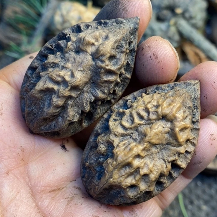 文玩核桃吊坠娜姐69