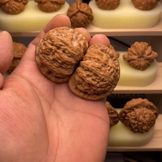 文玩核桃吊坠44全品白狮子