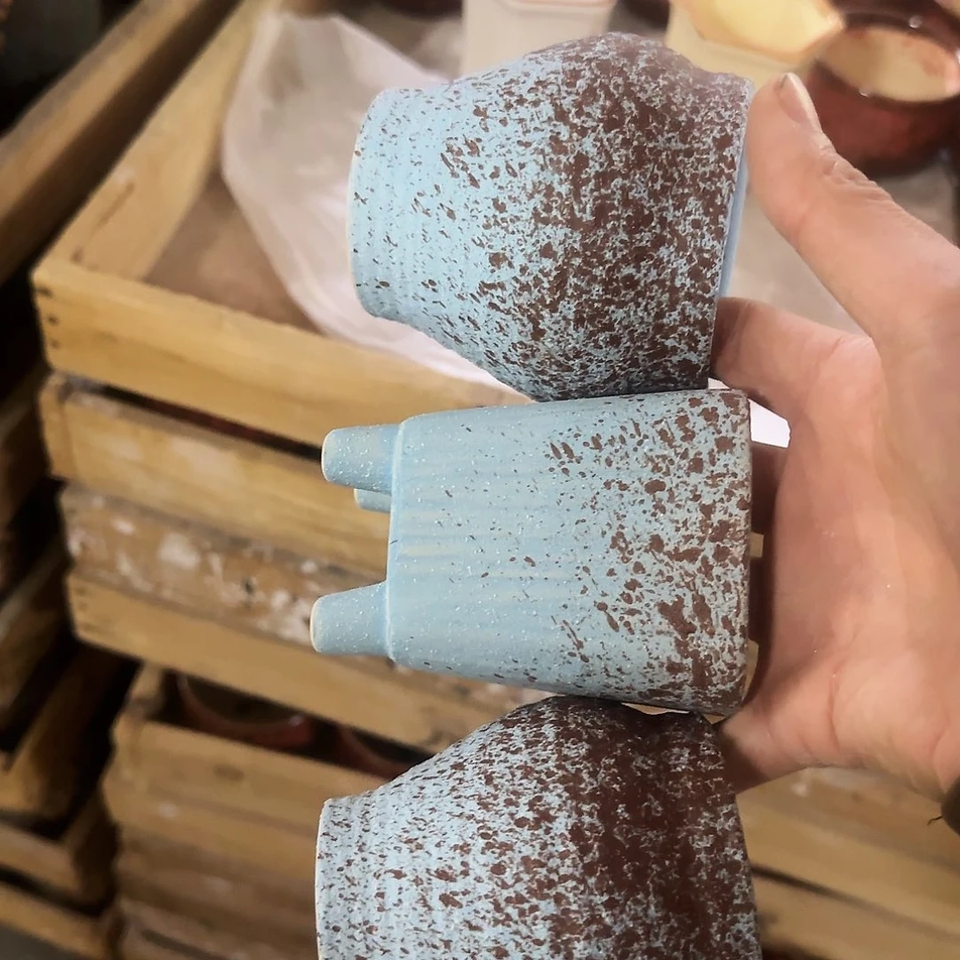 3个特价盆·清仓价·凑9元发·