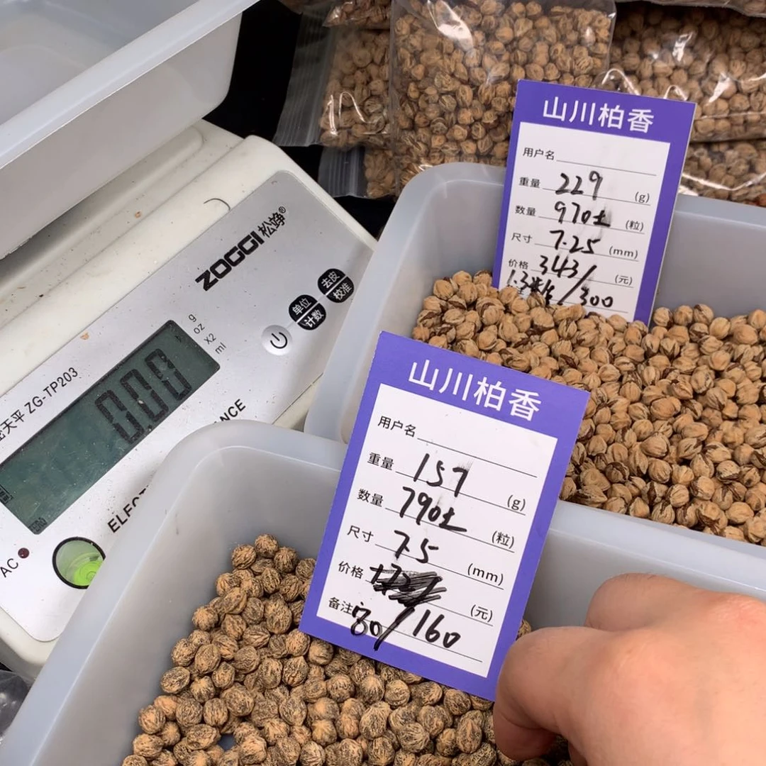 柏香籽/百香籽手串