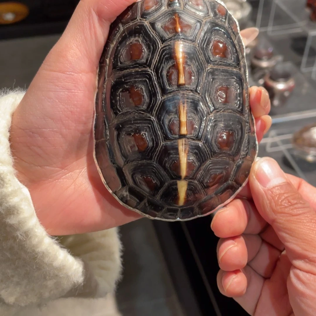 紫砂纯手工制作爱****官乌龟茶则