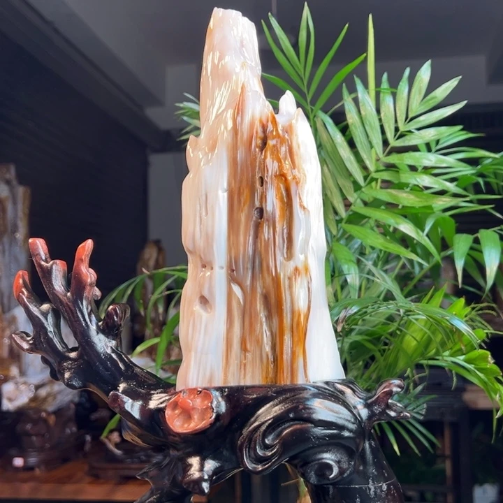 硅化玉（树化玉）未镶嵌珠宝奇石