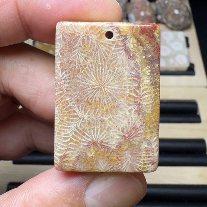 硅化珊瑚（珊瑚玉）未镶嵌纯天然色有机玉石保真色