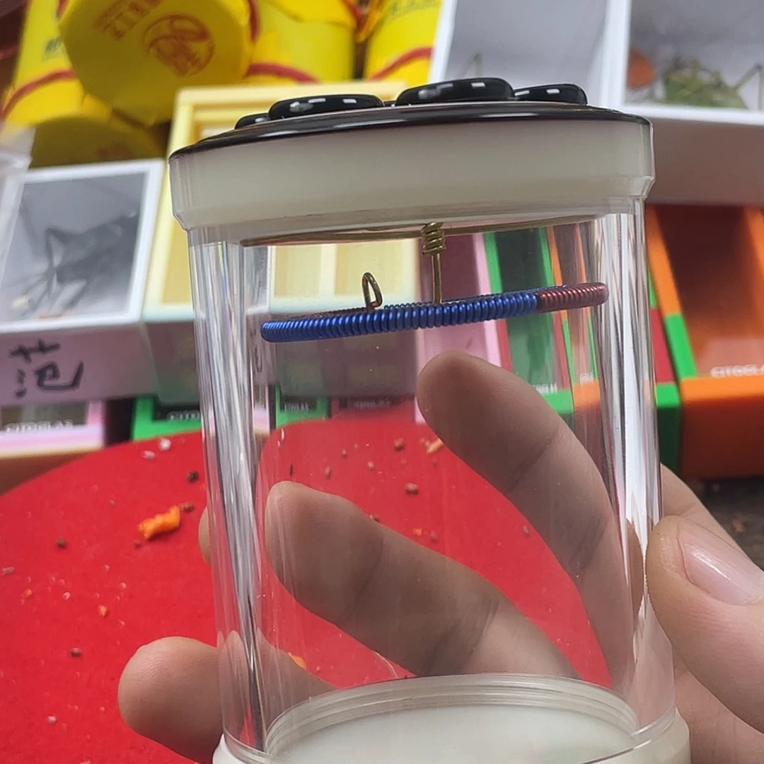 ****风蟋蟀新的一年希望自己能有个好的开始