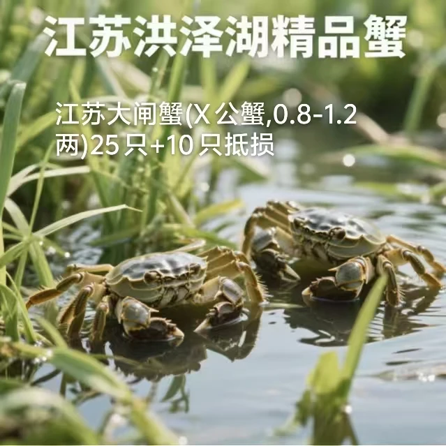 洪泽湖大闸蟹(X公蟹,1.0-1.2两)25只+10只抵损