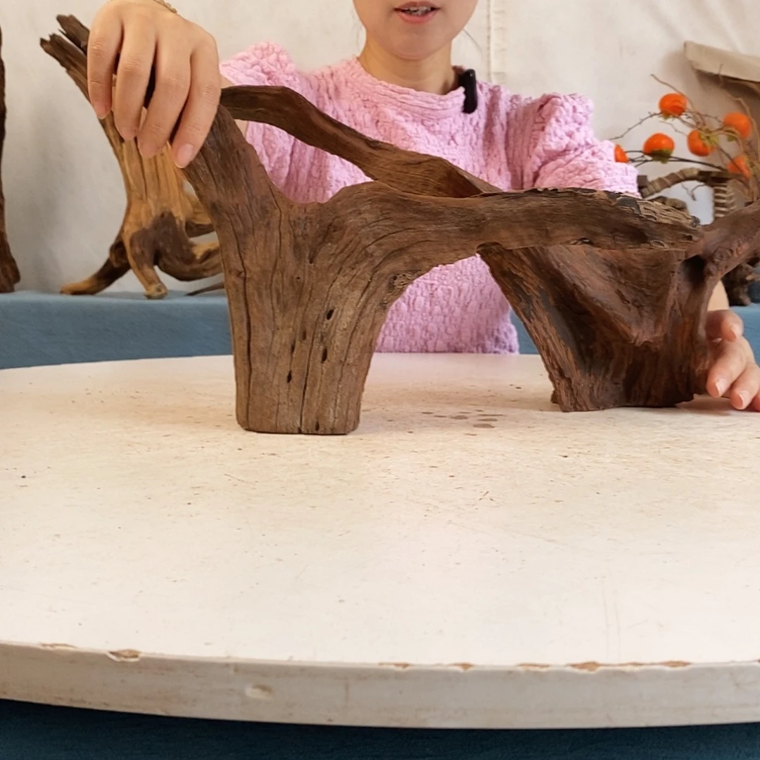 沉木造景寄居蟹景