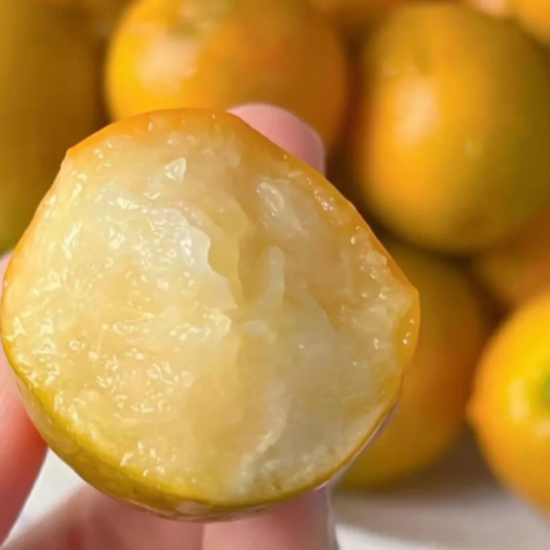 纯甜不寡淡脆蜜金桔一斤装