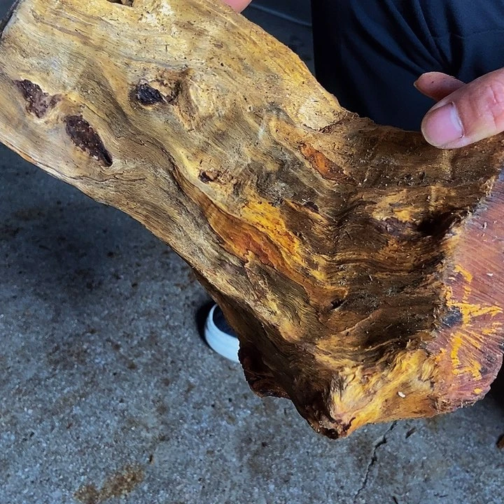 楠木（金丝楠）其他?**道