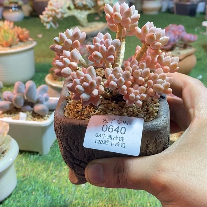 0640啊啊啊啊啊啊啊啊啊啊啊啊