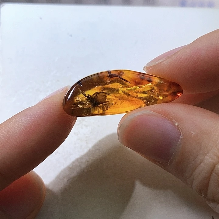 定制琥珀琥珀虫珀蜘蛛吊坠