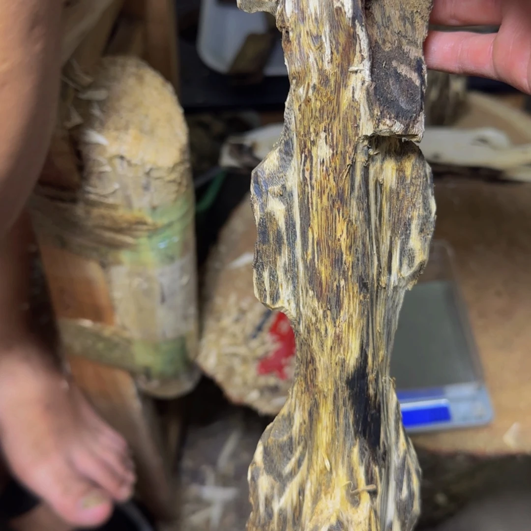 沉香蓝宝石虫漏精品摆件发一份
