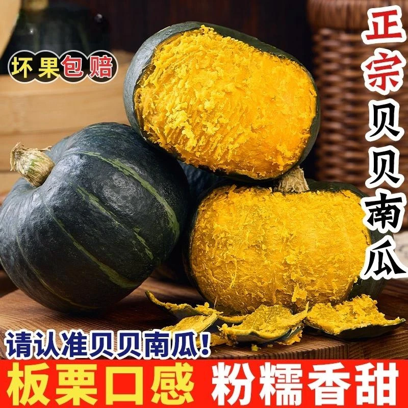 【老农推荐】正宗大贝贝南瓜粉糯香甜板栗味可作宝宝辅食【坏果包赔】