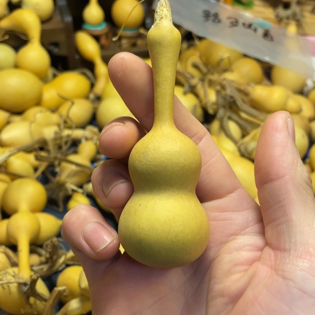 第***头大叶紫檀（黑酸枝木类）